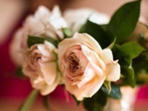 Knole B&B セブンオークス エクステリア 写真